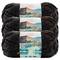 3 Pack Lion Brand® Hometown Variegates Yarn